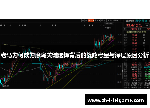 老马为何成为魔鸟关键选择背后的战略考量与深层原因分析
