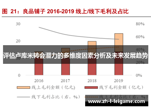 评估卢库米转会潜力的多维度因素分析及未来发展趋势 评估卢库米转会潜力的多维度因素分析及未来发展趋势